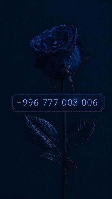 SIM-карты: 👑 Премиальные номера O! Mega | Beeline 🧡 • - 320$ • - 350$ • - — 9