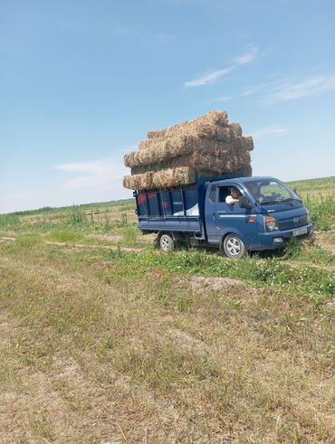 купить корм для перепелов несушек: Продам клевер, первый укос с разнотравием, в наличии 200 тюков