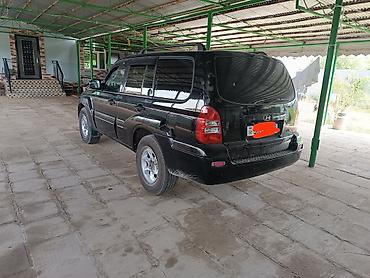 vito şuşələri: Hyundai Terracan: 2.9 l | 2006 il Ofrouder/SUV — 1