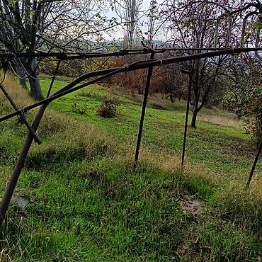 Torpaq sahələrinin satışı: 24 sot — 7