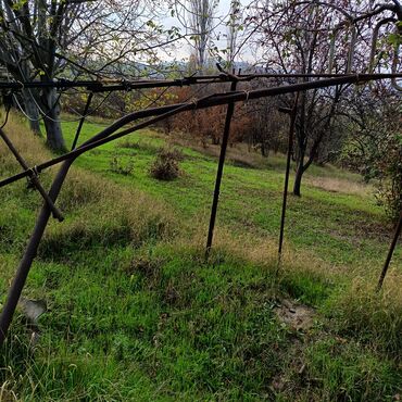 Torpaq sahələrinin satışı: 24 sot, Kənd təsərrüfatı -da lalafo.az — 2 Torpaq sahələrinin satışı: 24 sot, Kənd təsərrüfatı — 2