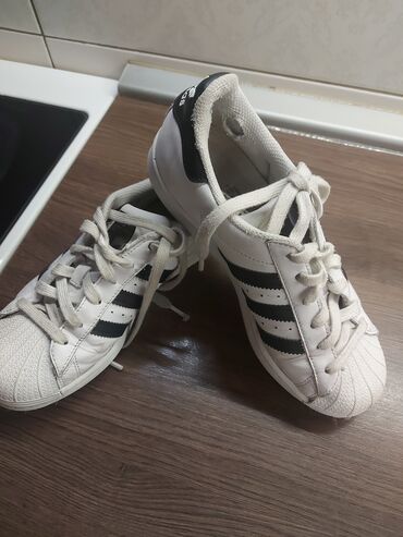 kozne papuče zenske: Adidas, 36.5, color - White