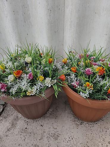 Коляски: Детская прогулочная коляска - Тип: трость/прогулочная коляска - Цвет — 2