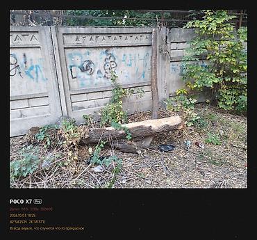 Дрова: Дрова Самовывоз — 4