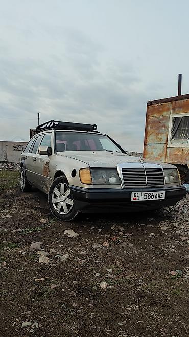 Mercedes-Benz: Mercedes-Benz W124: 1989 г., 2.9 л, Механика, Дизель, Универсал — 2