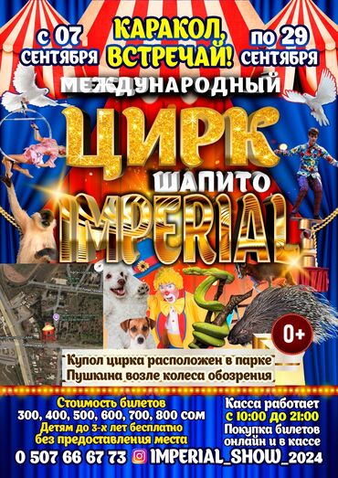 хиджаб для детей: Каракол Встречай!🎭 С7️⃣СентябряПо2️⃣9️⃣Сентября Цирк Шапито🎪