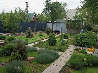 Продажа дач: Дом находится в красивом месте у реки. Вокруг много деревьев и зелёной — 11