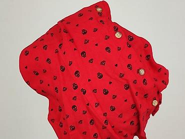 taylor wright shirts: Young Fashion, Koszula damska, rozmiar L — 6