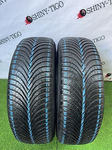 mishlen: Шины 205 / 60 / R 16, Всесезонная, Б/у, Пара, Легковые, Германия, Michelin — 1