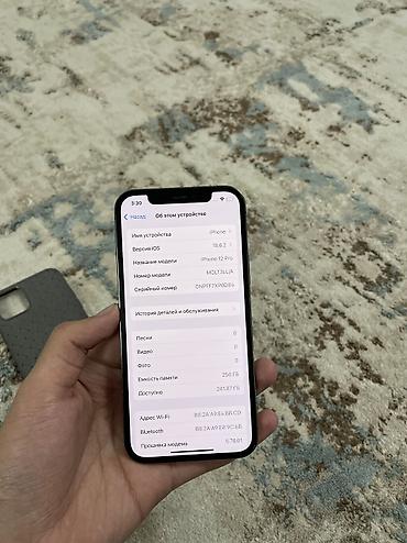 Apple iPhone: IPhone 12 Pro, Б/у, 256 ГБ, Графит, Защитное стекло, Чехол, Кабель, 77 % — 2