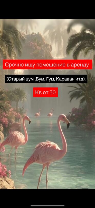 сдаю дом в токмаке: Сниму коммерческую недвижимость
