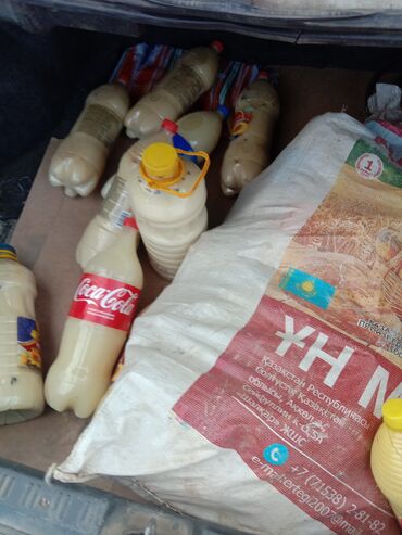 где можно купить тибетский молочный гриб: Кымыз сатылат Алайкунун кымызы ичкен да ичпеген да арманда баасы