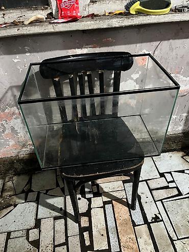 Аквариумы: Аквариумные ампулярии, растения, декорации,коряга,корм. - Стеклянный — 1