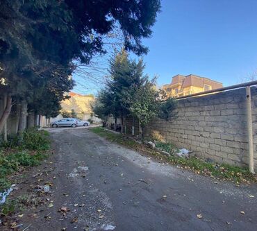 Torpaq sahələrinin satışı: 8 sot, Tikinti, Makler, Kupça (Çıxarış) -da lalafo.az — 9 Torpaq sahələrinin satışı: 8 sot, Tikinti, Makler, Kupça (Çıxarış) — 9