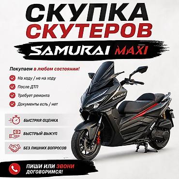 аксессуары для мотоциклов: Скупка мототехники — 1