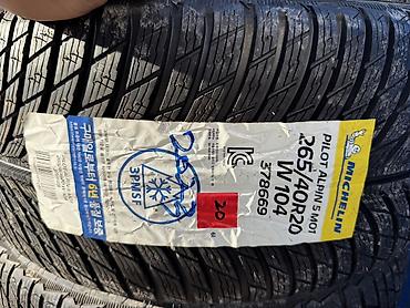 пайа: Michelin Pilot Alpin 5 MO1 — зимние шины UHP для мощных автомобилей — 3