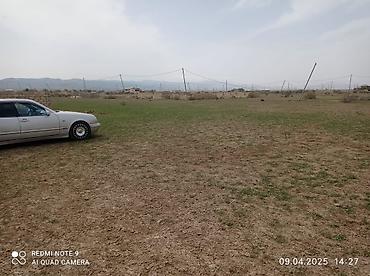 torpag satilir: 12 sot, Tikinti, Mülkiyyətçi, Kupça (Çıxarış) — 5