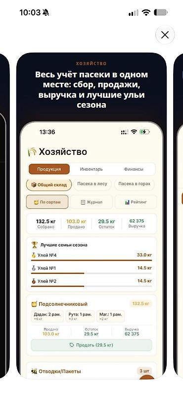 Разработка сайтов, приложений: Добрый день! предлагаем Разработкау мобильных приложений, просьба — 8