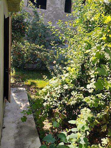 Продажа коттеджей и домов: 3 комнаты, 100 м², 12 соток, Ленинское, Собственник — 14