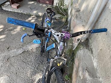 İdman velosipedləri: Velocruz dağ velosipedi - Çərçivə: Alüminium Velocruz, gümüş/mavi — 1