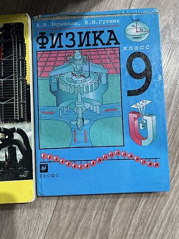 магни: Учебник «Физика. 9 класс» Авторы: А. В. Перышкин, Е. М. Гутник — 1