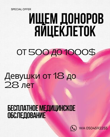 Медицинские услуги: Клиника | Акушер-гинеколог | Другие медицинские услуги