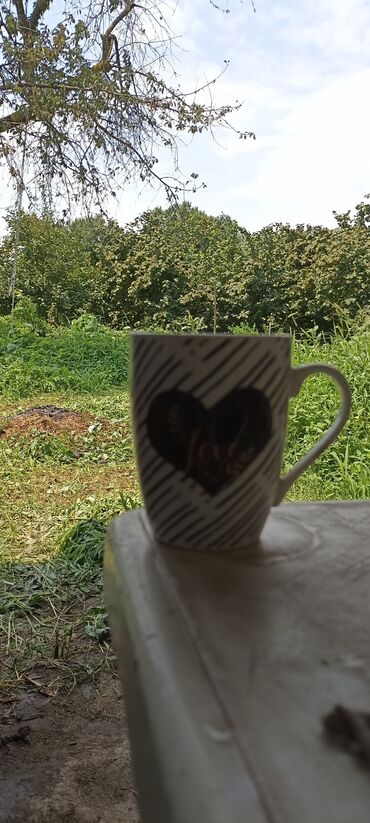 Torpaq sahələrinin satışı: 58 sot, Kənd təsərrüfatı, Barter mümkündür, Kupça (Çıxarış) — 20