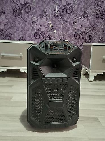 kabel av ps3: KTS-1138 portativ səs sistemi - 8" dinamikli güclü portativ akustik — 4