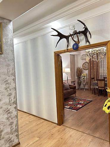 ayliq kirayə ev: 2 otaqlı, Yeni tikili, m. Neftçilər, 105 kv. m — 7