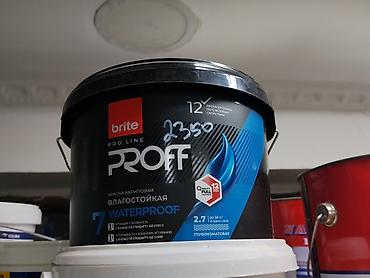акриловые краски для ванны цена: Акриловая краска, Brite PROFF, Для ванной, цвет - Белый, 2 кг, Глубокоматовая, Влагостойкая — 1