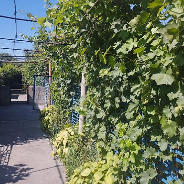 ежемалину: Продается дом с участком и баней, село пригородное Пригородное — 2