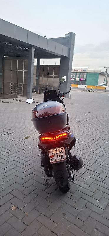 Скутеры: Скутер / максискутер J-Tiger (150 см³, вариатор CVT). ​Юридическая — 8