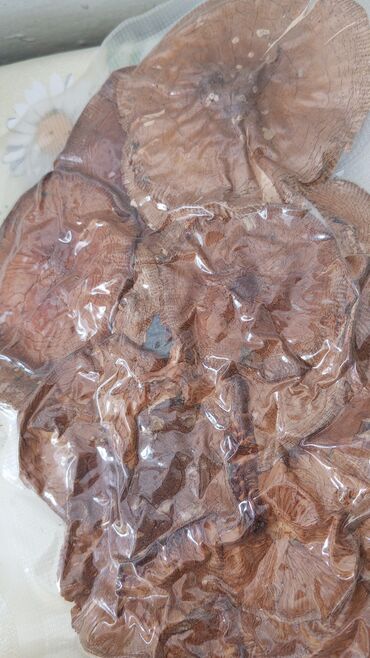 Витамины и БАДы: Универсальный, Капсулы — 9