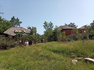 Həyət evləri və villaların satışı: Satılır: həyət evi - Plan: dəhlizli ev, ayrı-ayrı otaqlar; geniş — 8