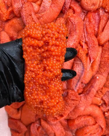 яйцо перепелы: Свежий, 1 кг, 5 кг, 10 кг