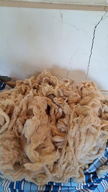 bakı tekstil fabriki: Təbii qoyun yunu satılır. Yun açıq krem rəngdədir və şəkildən — 1