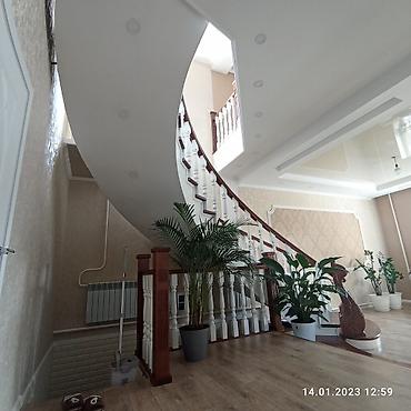 Другие услуги: Лесницы овальные — 4