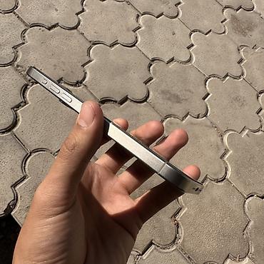 iphone 13 pink: IPhone 15 Pro Max, цвет Titanium на экране защитный стекло корпус и — 6