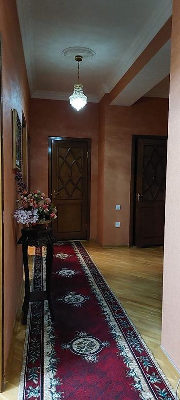 inqilab: Inqilab kucesi.Akademik Hesen Eliyev.Cassa Mia magazanin arxasi — 6