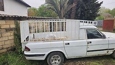 QAZ: QAZ 3110: 2.4 l | 1998 il Sedan — 13