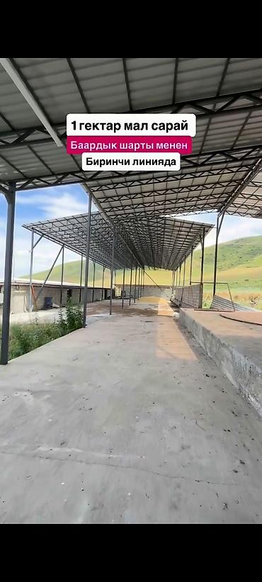 Кыймылсыз мүлк: Мүйүздүү бодо мал фермасы, 1000 соток, Жылытуу — 3