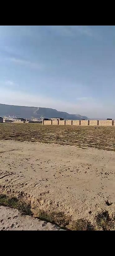 Torpaq: 4 sot, Tikinti, Mülkiyyətçi, Kupça (Çıxarış) — 4