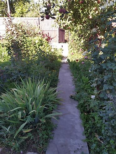 бутка вагон: Продается жилой дом🏡 в дачном товариществе Строитель. курортная зона — 6