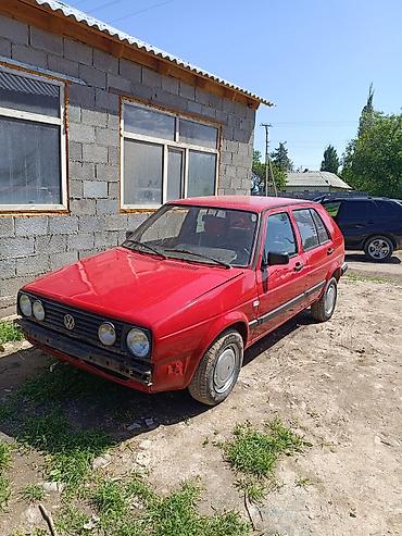 степвагон панель: Volkswagen Golf: 1991 г., Хетчбек — 1