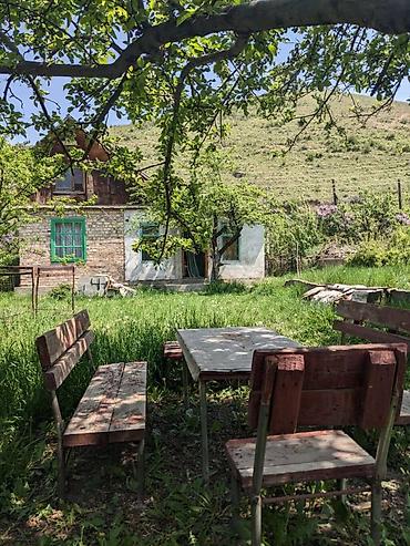 Продажа дач: Очень срочно!!! Продаю или меняю !!! на квартиру !!! Дача с подвалом — 9