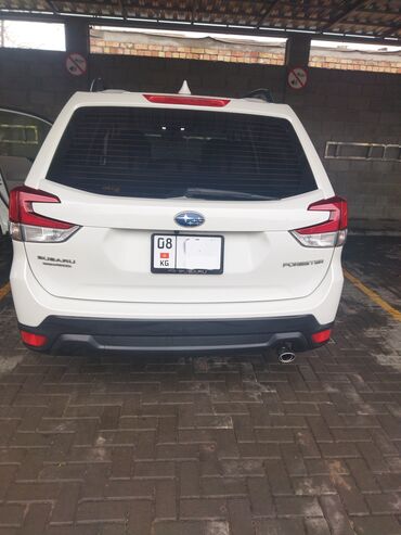 Subaru: Subaru Forester: 2019 г., 2.5 л, Вариатор, Бензин, Кроссовер — 6