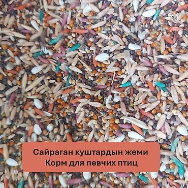 кукуруа: Корма для птиц и животных. Оптом и в розницу. У нас вы найдете все — 3