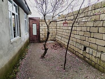 Uzunmüddətli kirayə evlər: 37 kv. m, 3 otaqlı, Qaz, İşıq, Su — 14