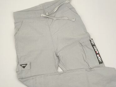 Sweatpants: Sweatpants, L (EU 40), condition - Very good