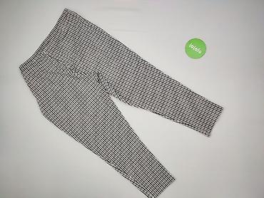 janine s: Janina, Spodnie materiałowe damskie, rozmiar XL — 3